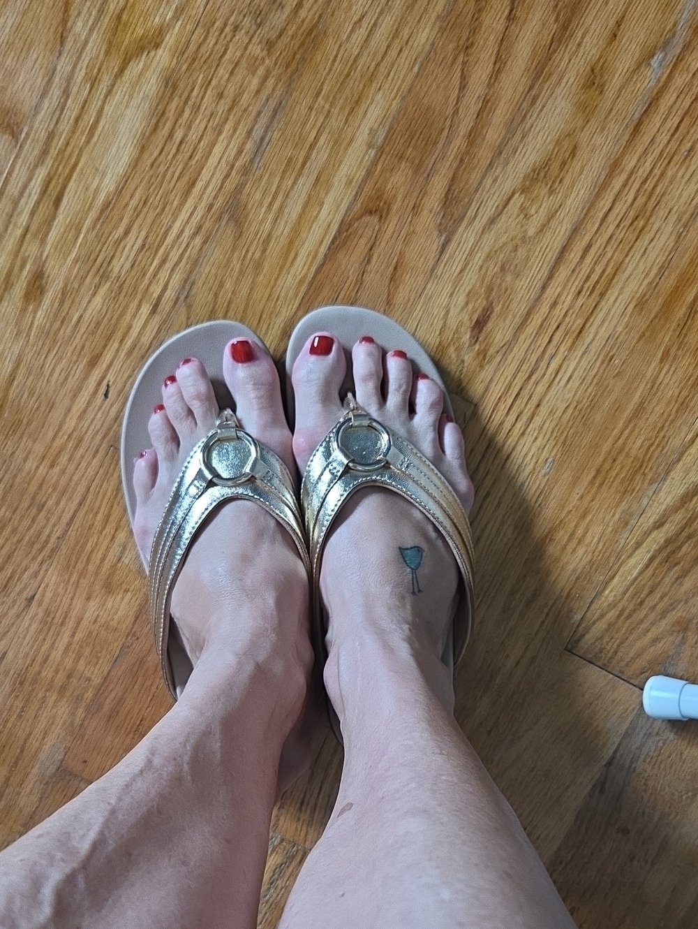 Dream Pairs Gold Metallic Thong Sandals with Ring Accent